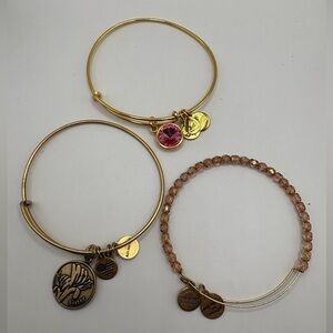 Alex and Ani Gold Tone Bangle Bracelet Lot Sister Charm Pink Crystal Beaded